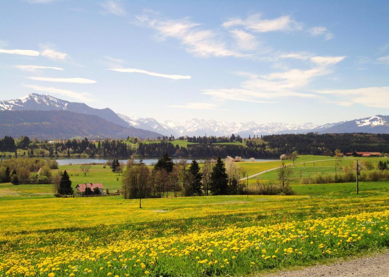 Ferienwohnung Heimatliebe Waltenhofen Exteriör bild