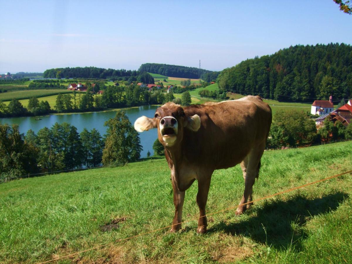 Ferienwohnung Heimatliebe Waltenhofen Exteriör bild